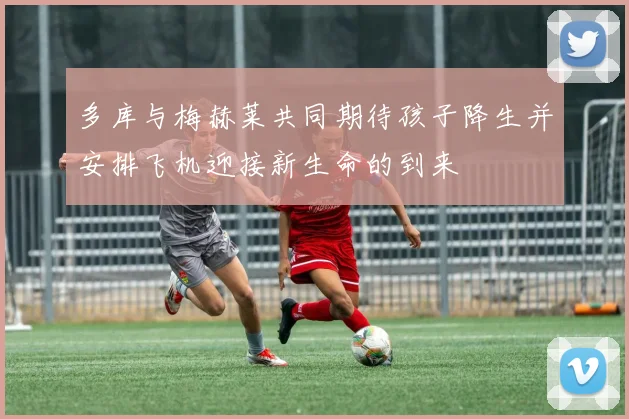 多库与梅赫莱共同期待孩子降生并安排飞机迎接新生命的到来