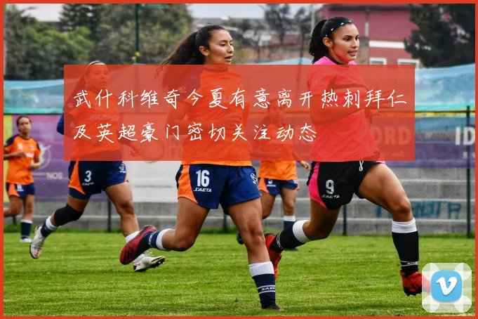 武什科维奇今夏有意离开热刺拜仁及英超豪门密切关注动态